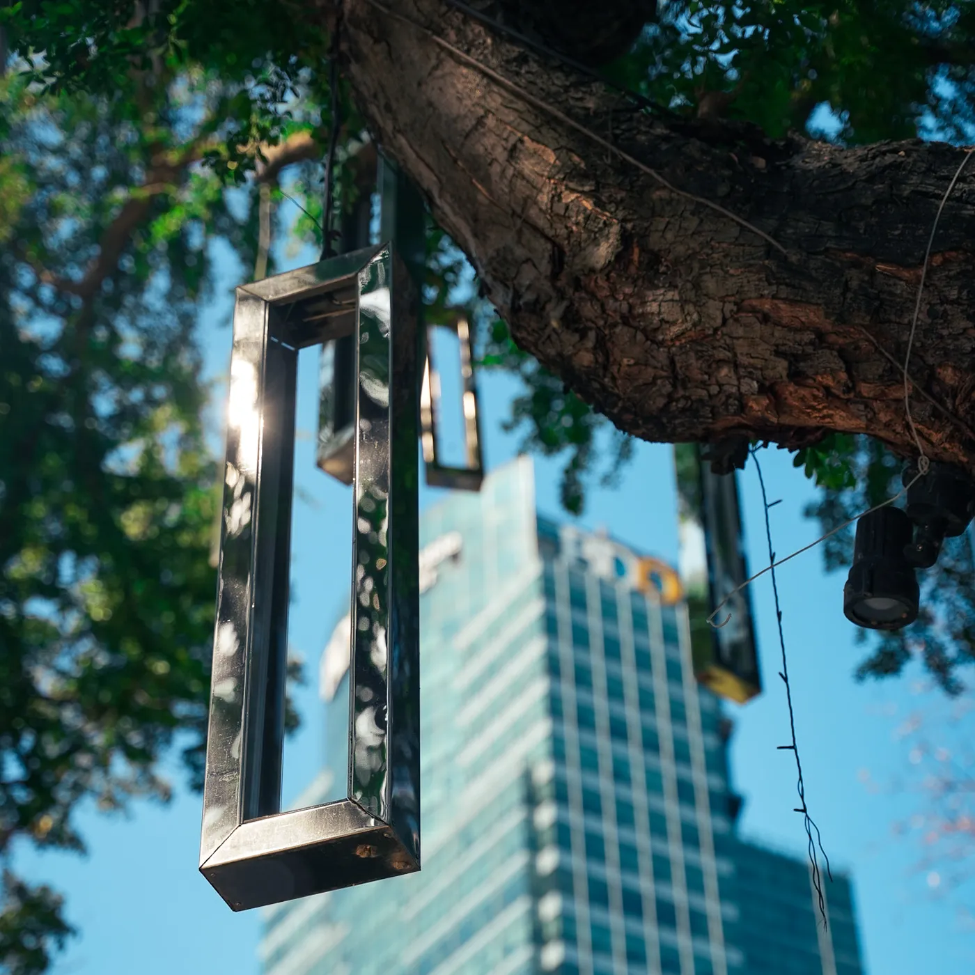 Issa app — AI document verification