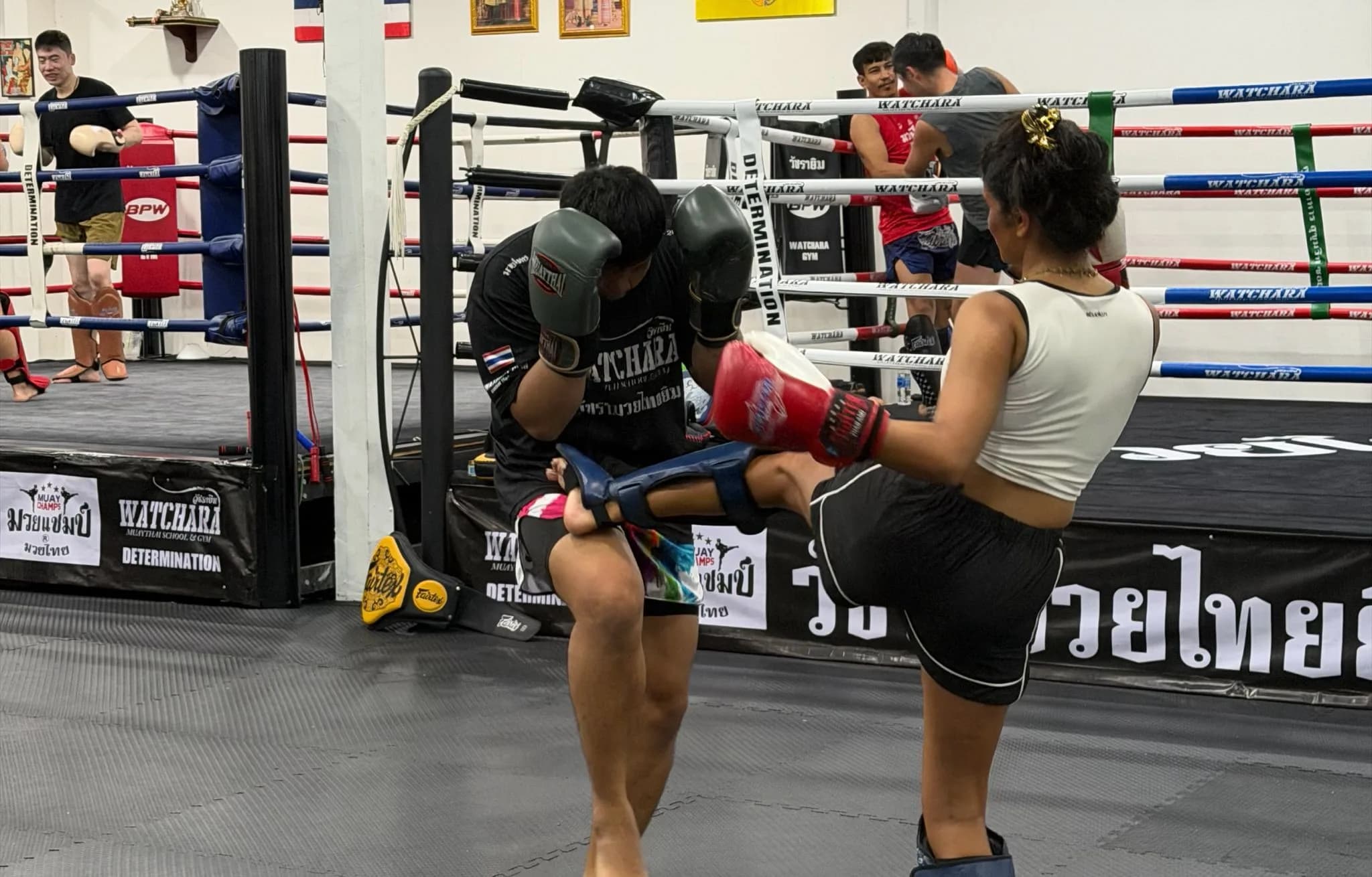 DTV + Muay Thai